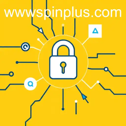 Privacy Policy in the Age of Spinplus